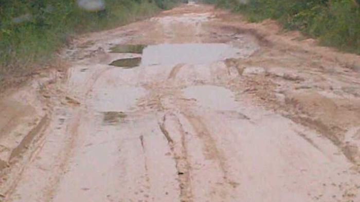 PUPR Riau Alokasi Rp14 Miliar di APBD 2019 Untuk Perbaiki Jalan Lintas Bono